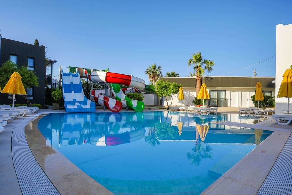 בריכה תמונה