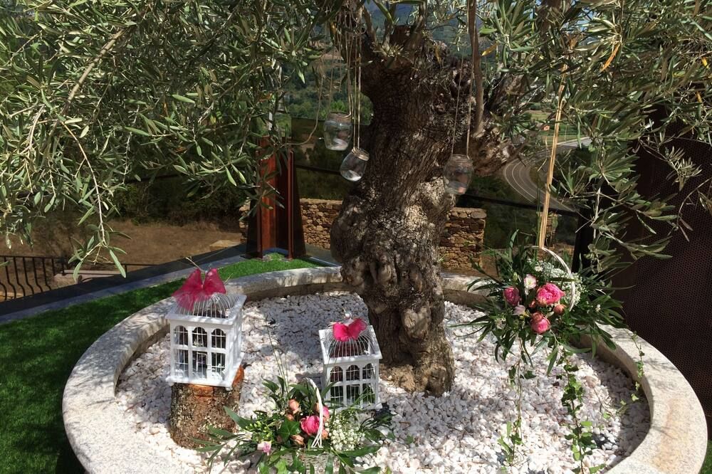 פטיו