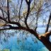 נוף חיצוני