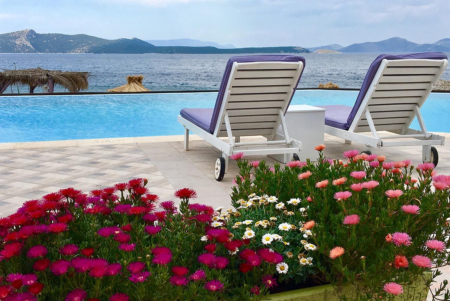 בריכה תמונה