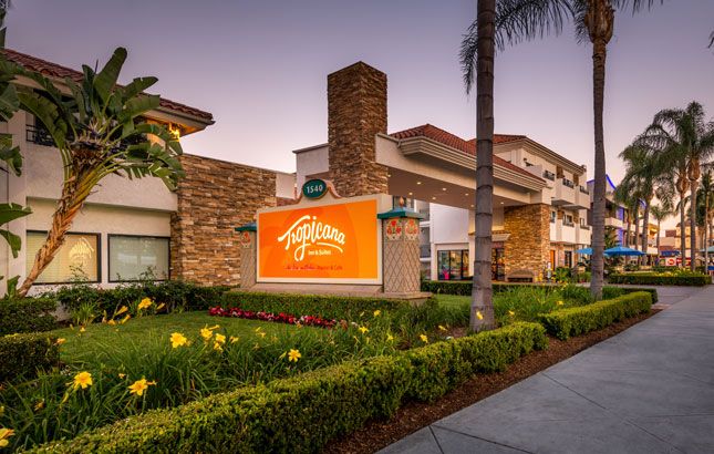 כניסה למלון