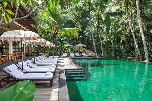 בריכה תמונה