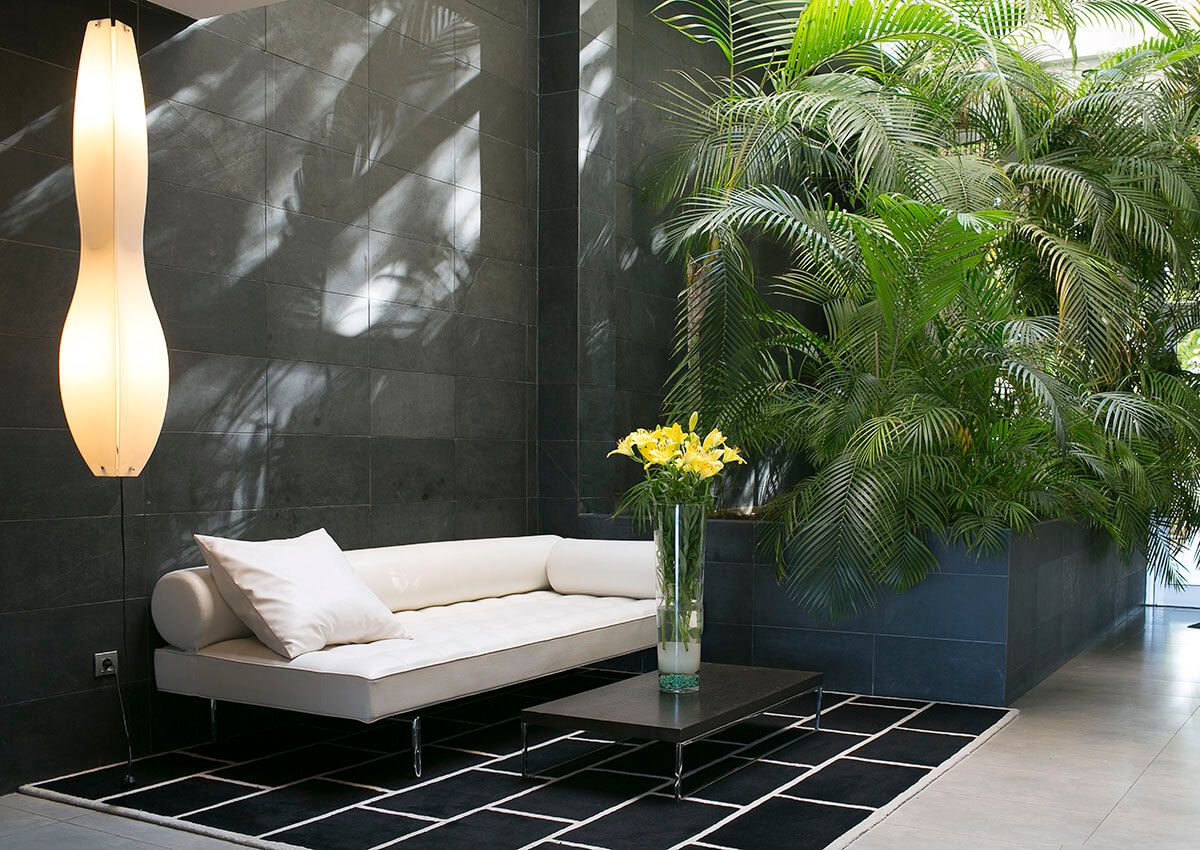 נוחות המלון