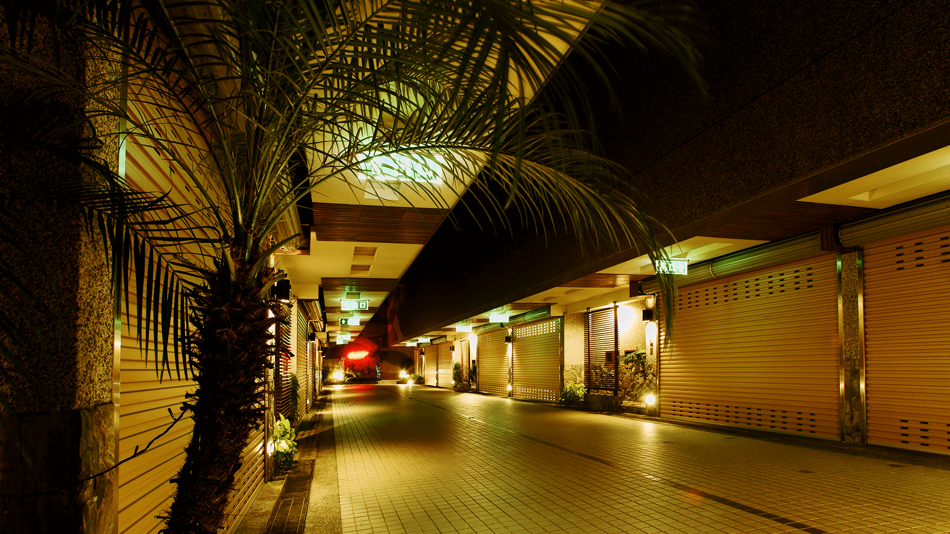 נוחות המלון תמונה