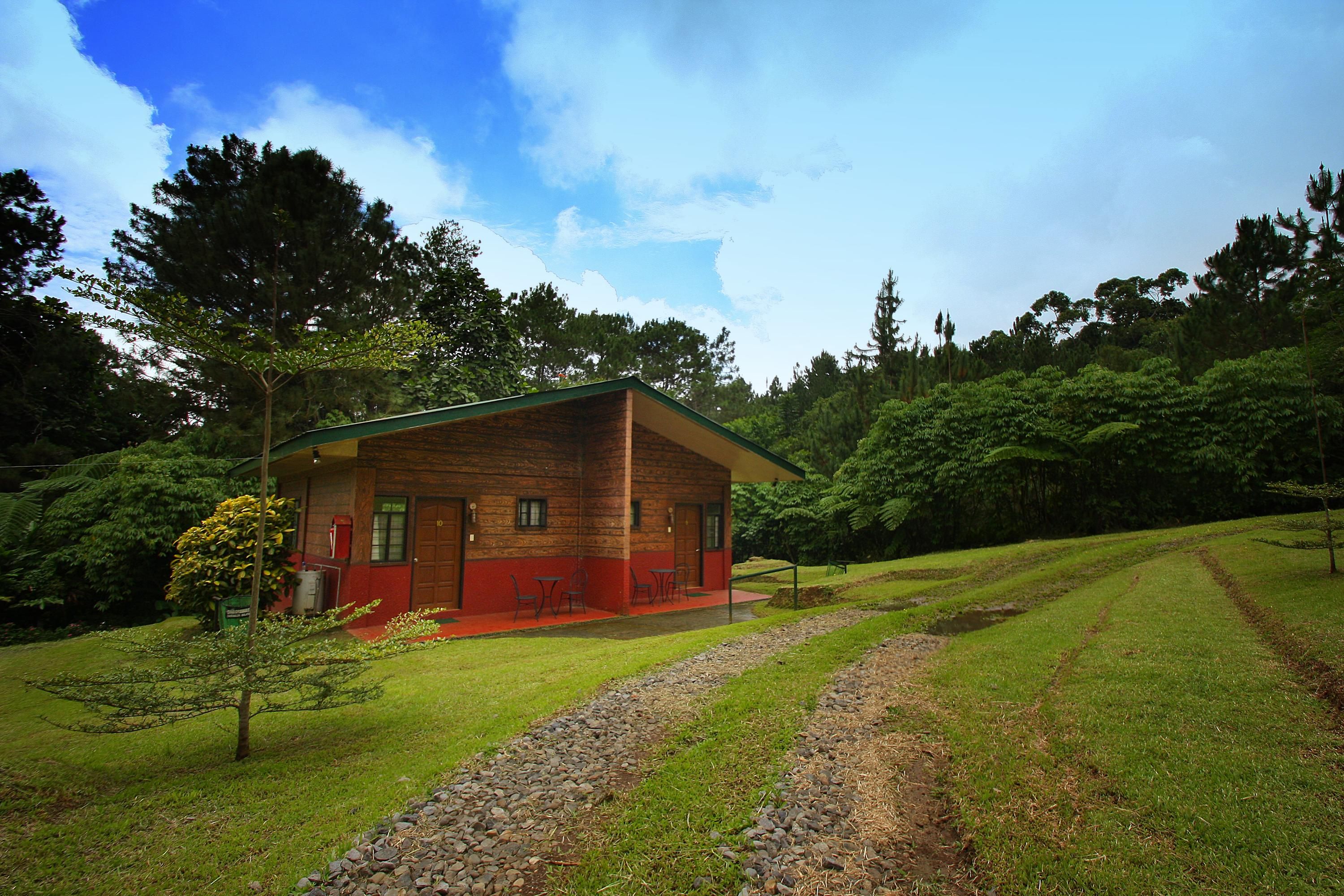 בניין תמונה