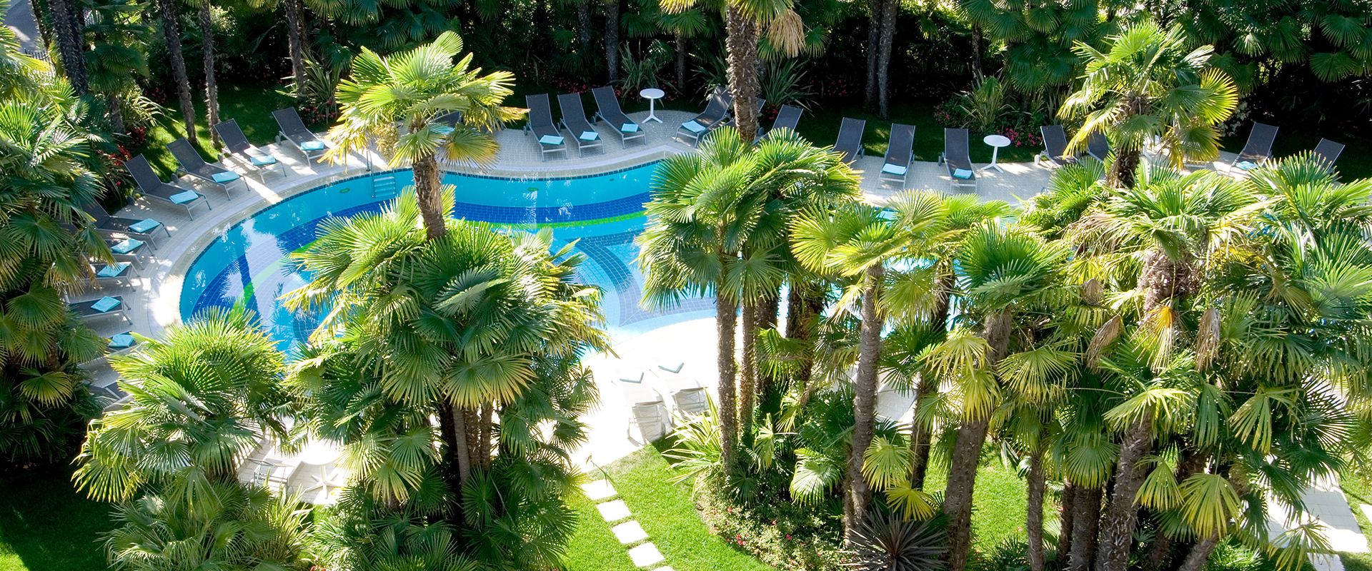 בריכה תמונה