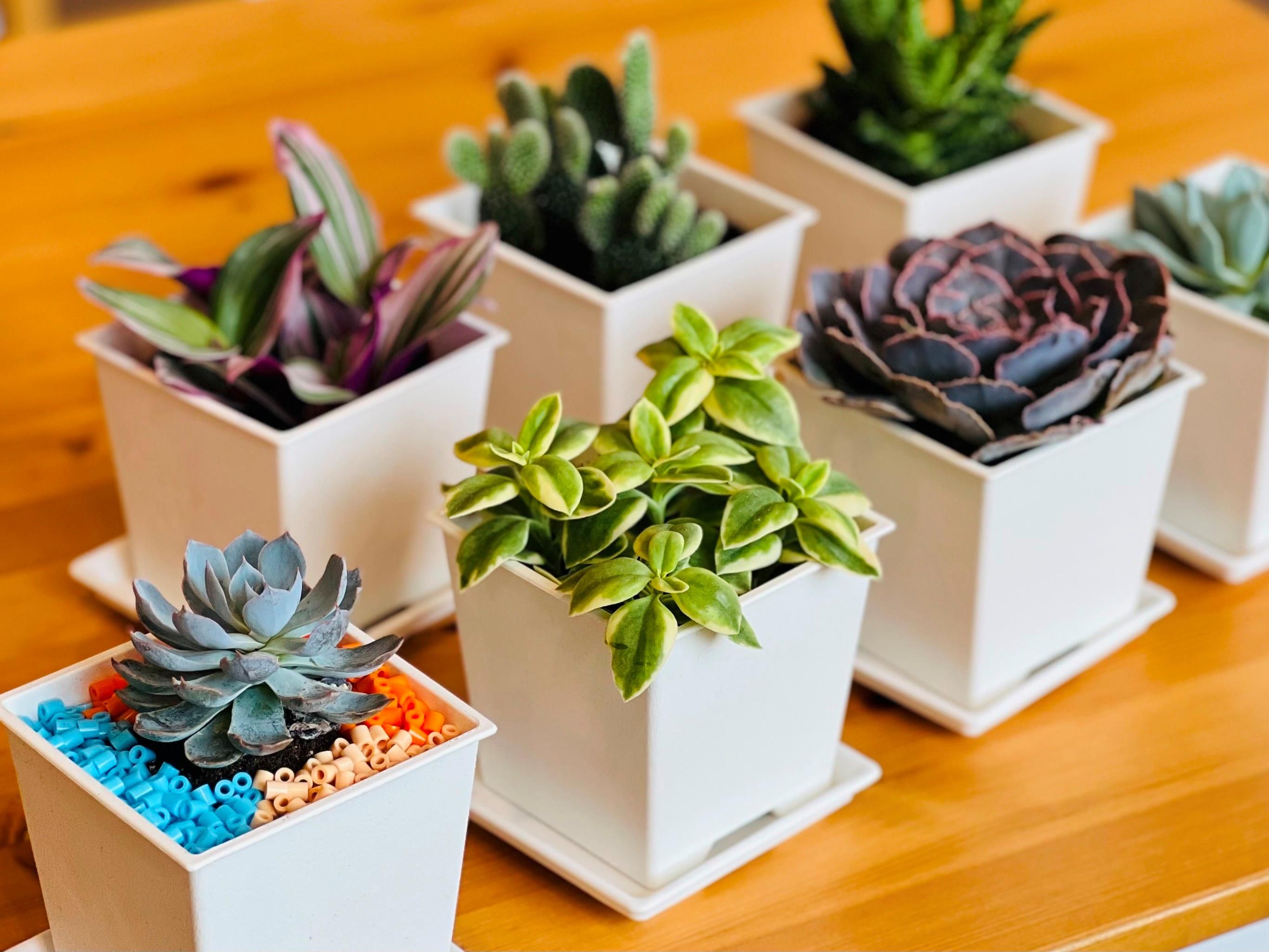 נוחות החדר