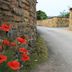 נוף חיצוני