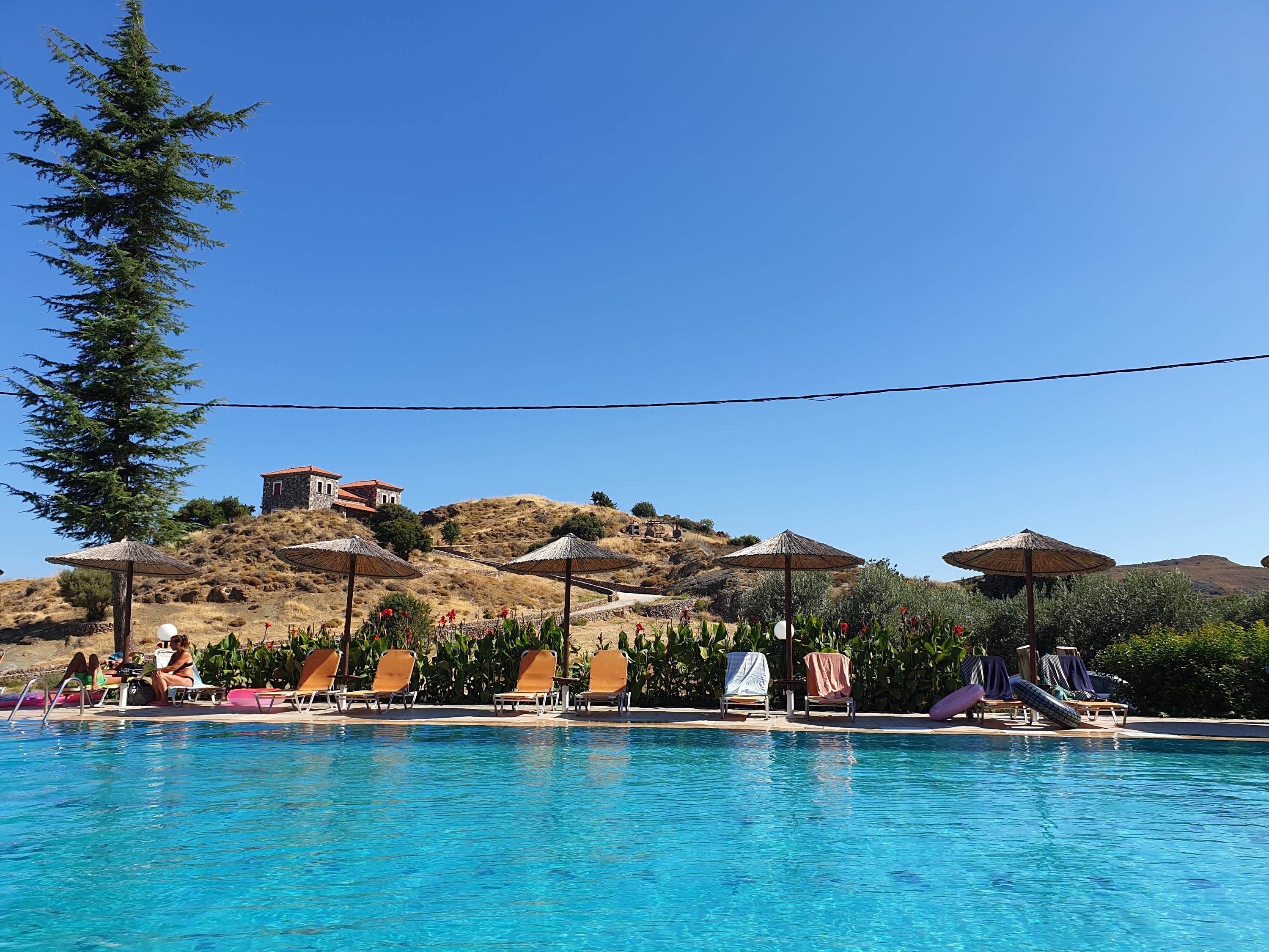 בריכה