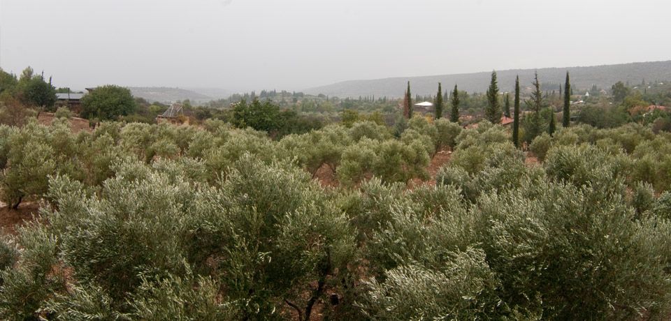 נוף חיצוני