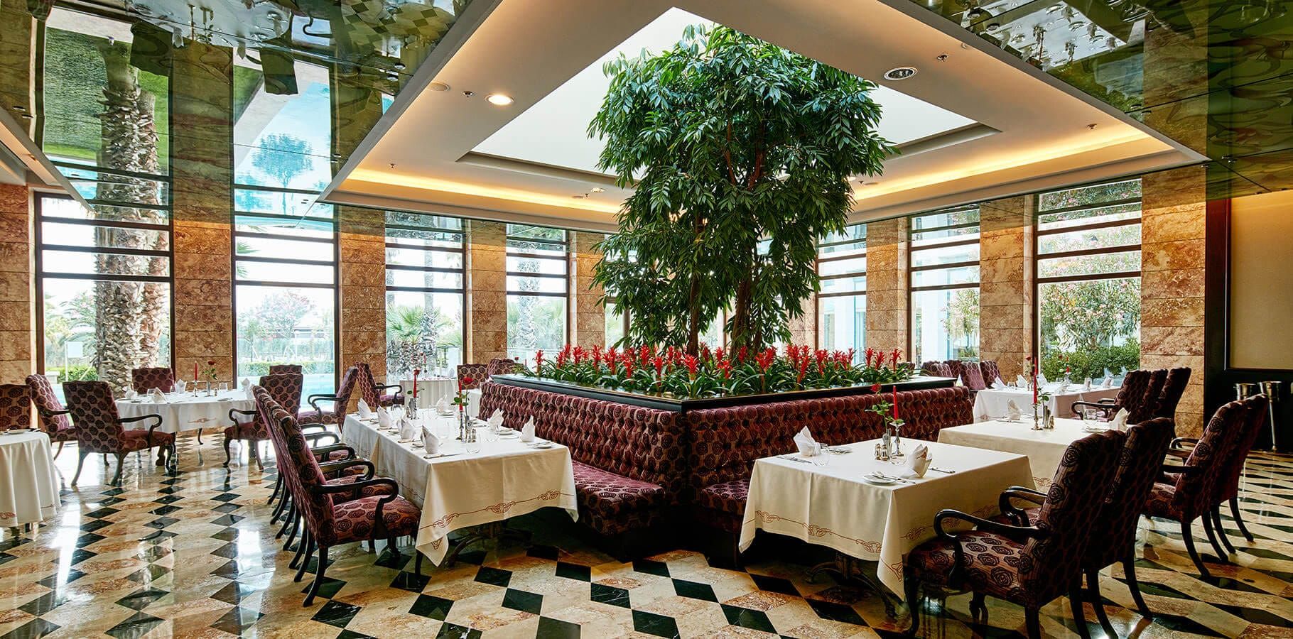 נוחות המלון