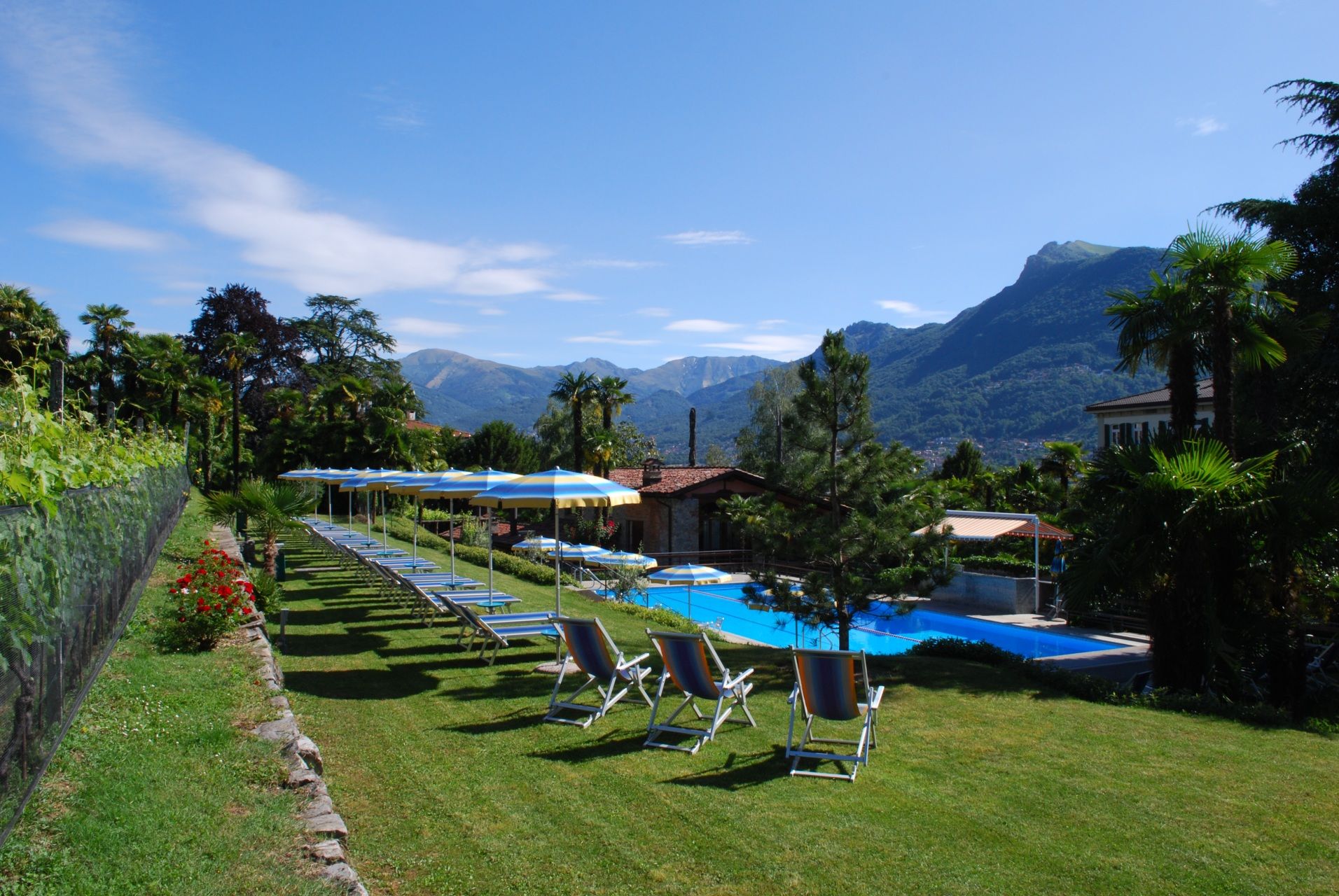 בריכה תמונה