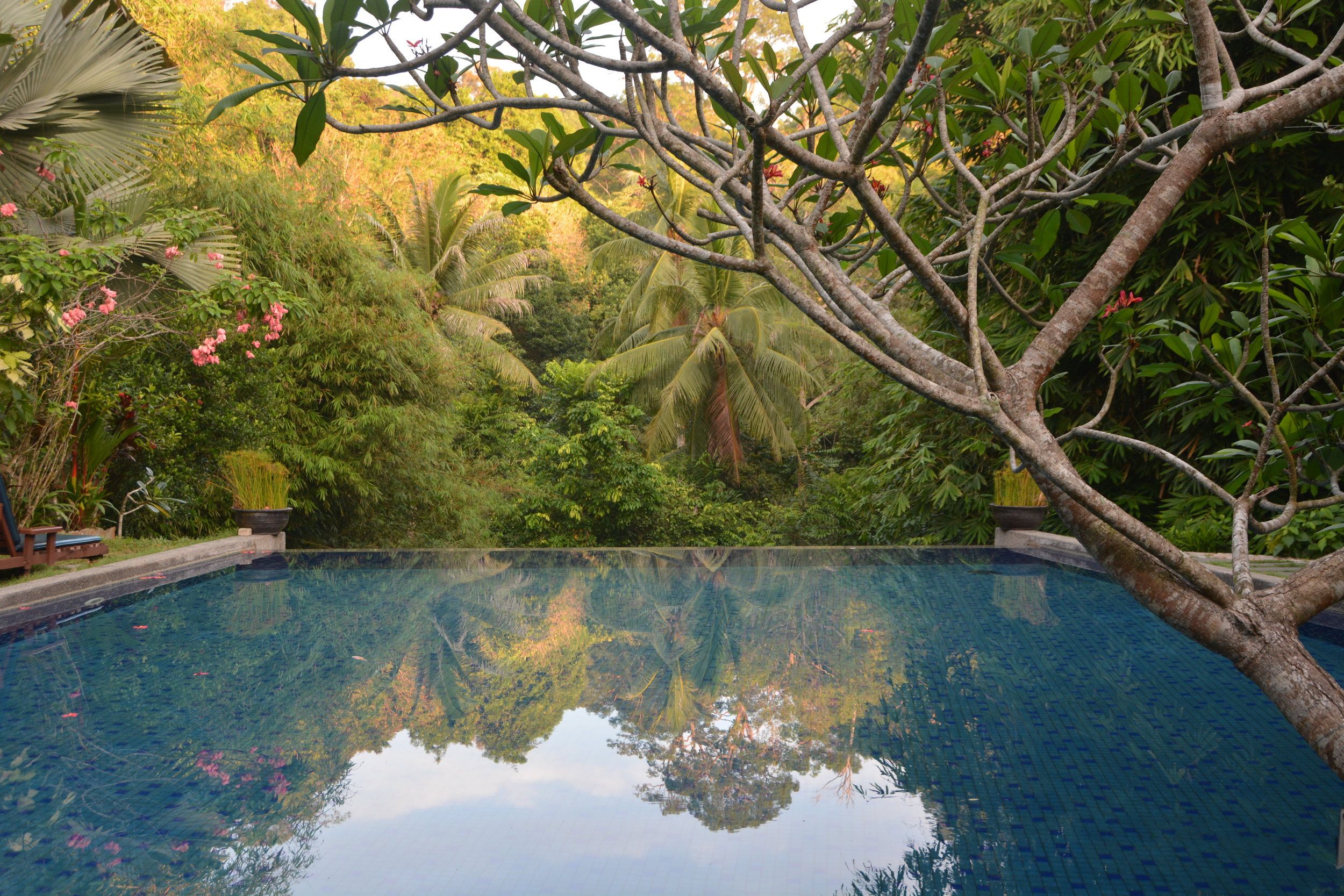 בריכה תמונה