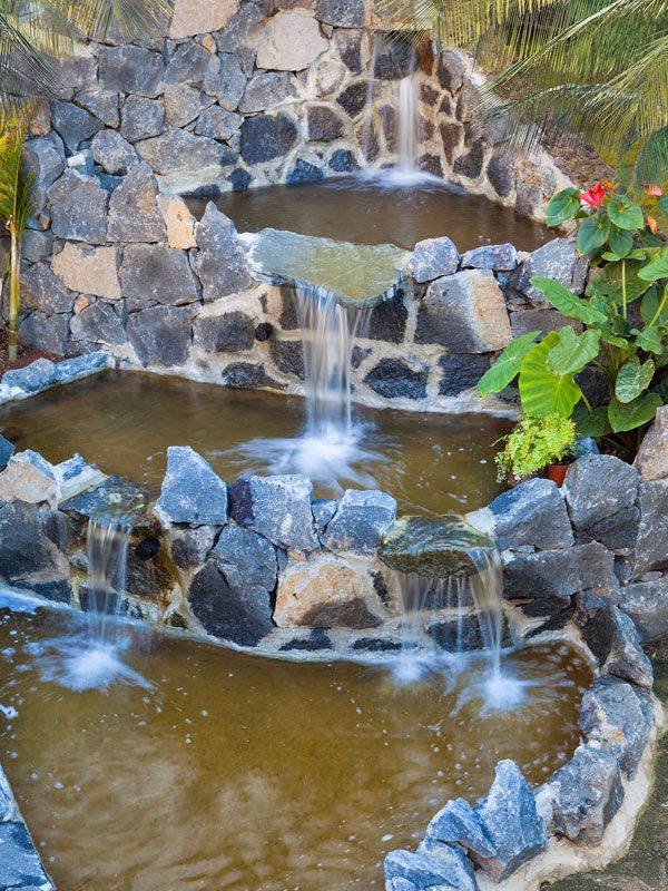 נוחות המלון תמונה