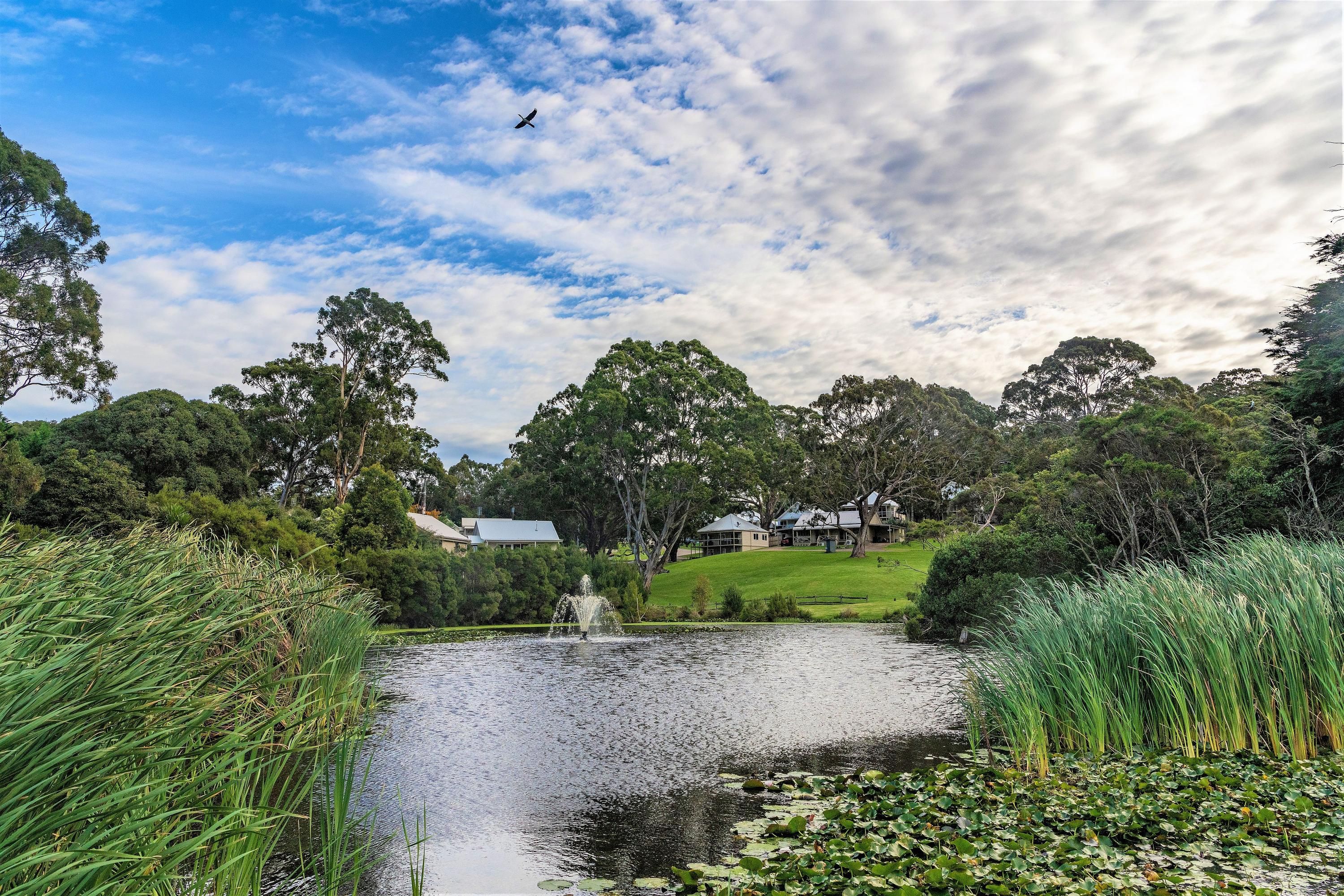 כניסה למלון