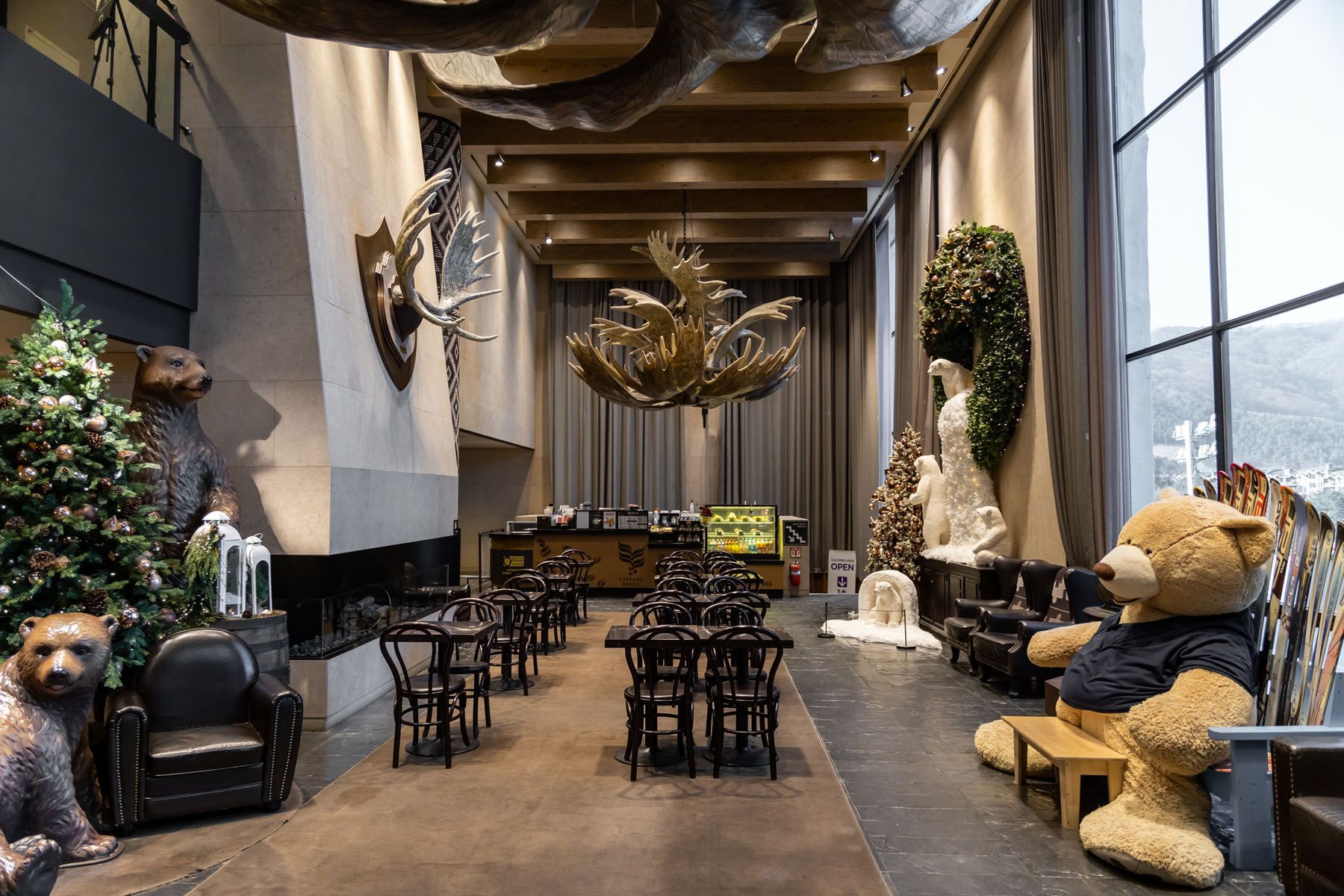 טרקלין תמונה