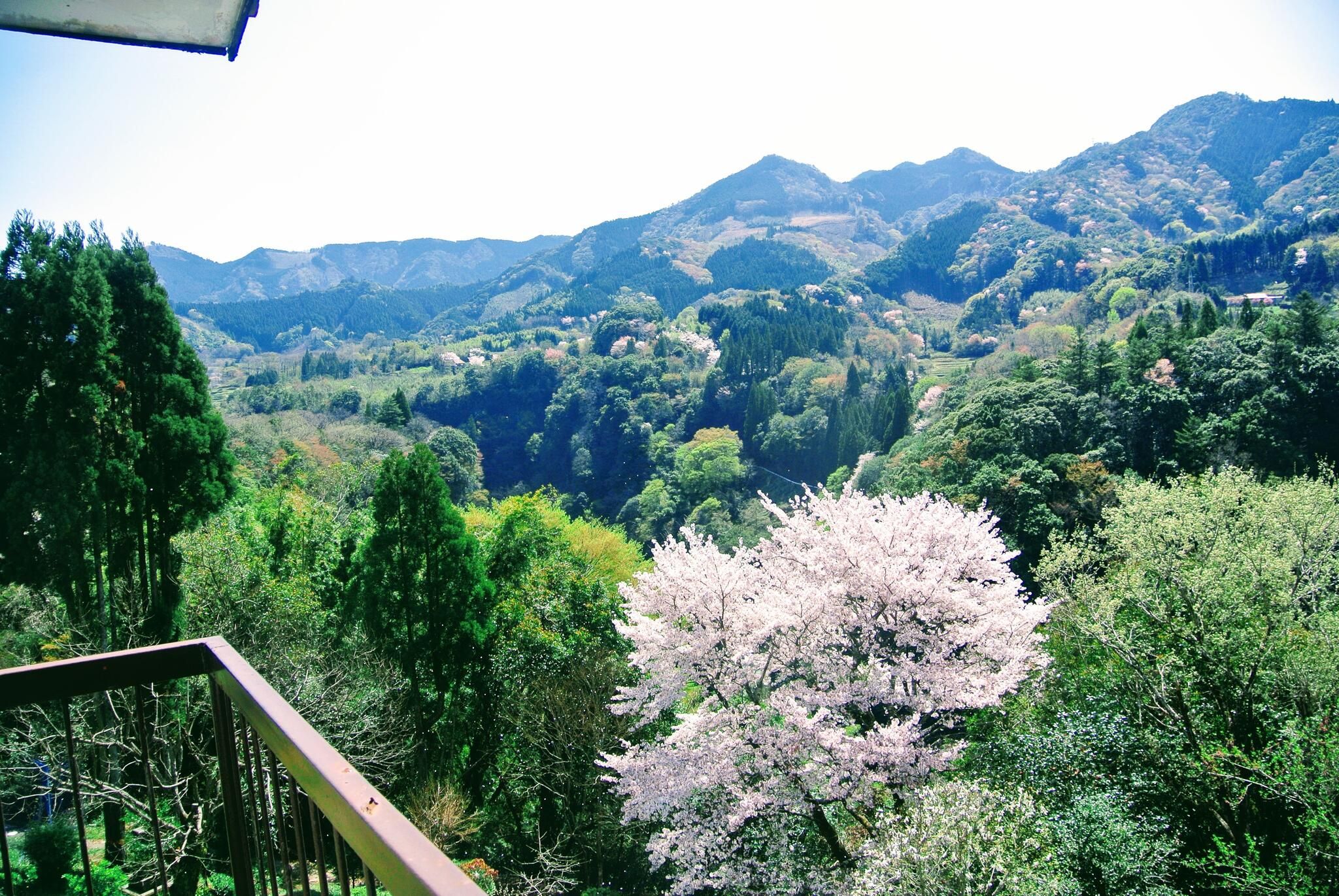 מרפסת תמונה